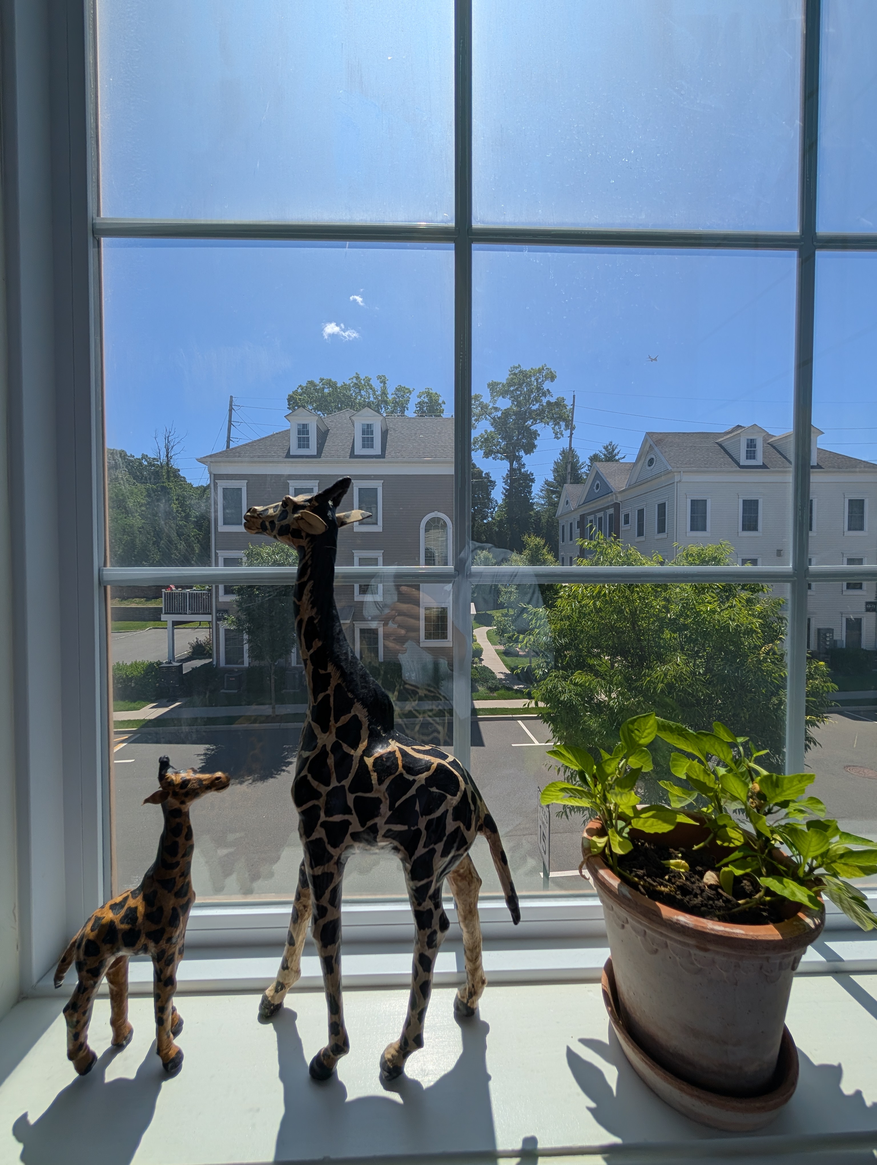 View from staircase window